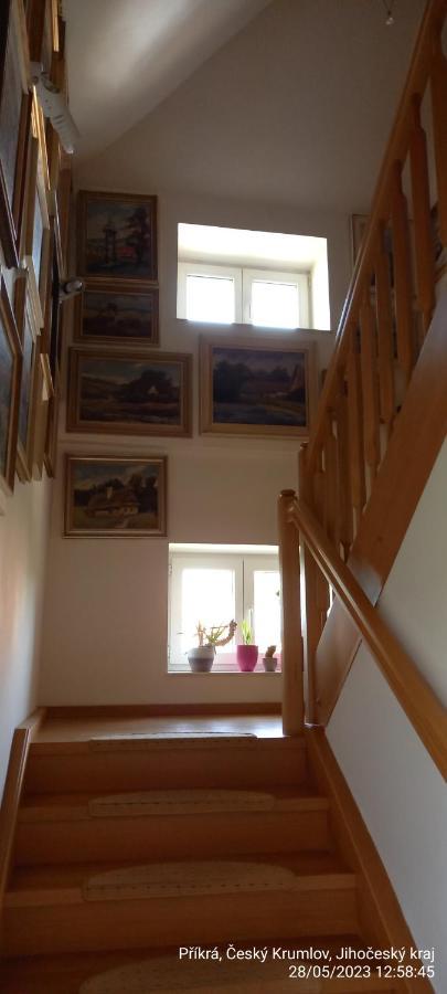 Apartament Vila Hesha Czeski Krumlow Zewnętrze zdjęcie